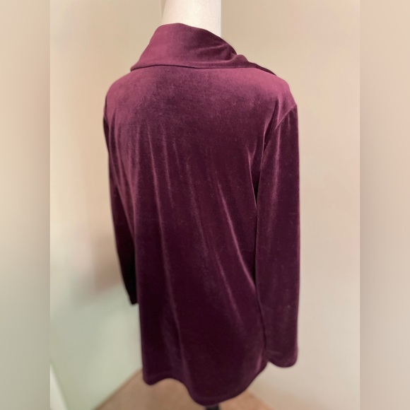 Vintage Plum Velour Blouse - Picture 5 of 6